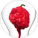 Daniel S. profile picture